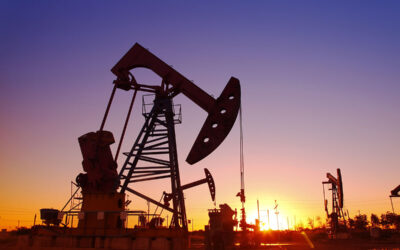 Zim stares at oil and gas breakthrough