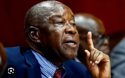 Anti-Government economists need to stop worshipping US dollar – Cde Mutsvangwa
